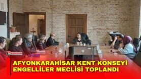 Manset-61-1