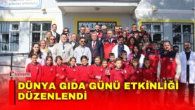 Manset-77-1