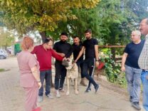 basmakcida-evcil-hayvanlar-kimliklendiriliyor_b00e26003ad2