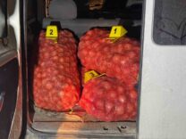 jandarma-sogan-hirsizlarini-sucustu-yapti_98ab6804792c