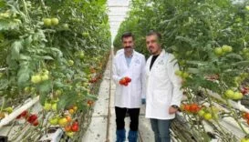 Eski Tip Sürücü Belgeleri İçin Son Uyarı_20250902_185502_0000