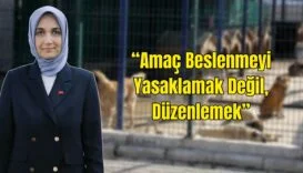 Eski Tip Sürücü Belgeleri İçin Son Uyarı_20250907_172853_0000