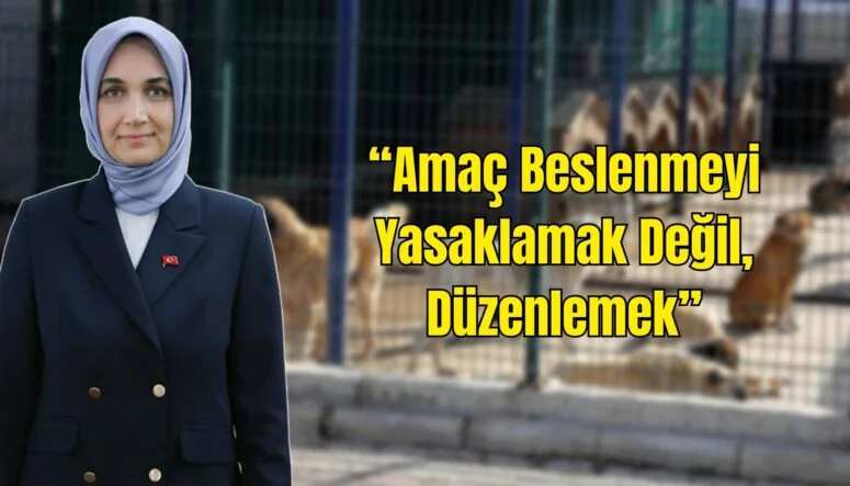 Eski Tip Sürücü Belgeleri İçin Son Uyarı_20250907_172853_0000
