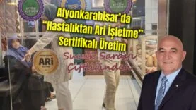 Mehmet Mühsürler
