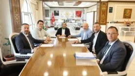 Sahipsiz sokak hayvanları