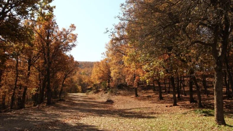 Afyon'da sonbahar