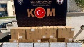 boş makaron