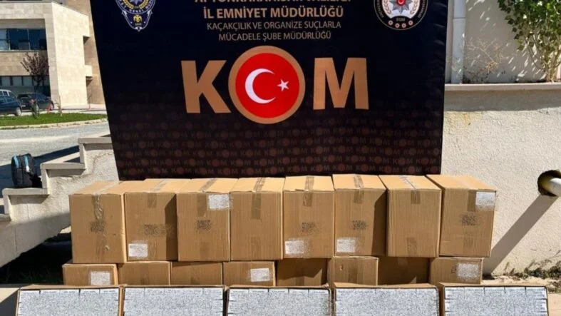 boş makaron