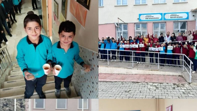 il milli eğitim proje