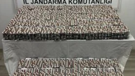 jandarma baskın