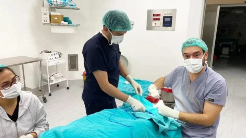 tırnak ameliyatı
