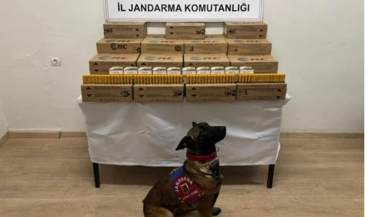 tüfek mermisi