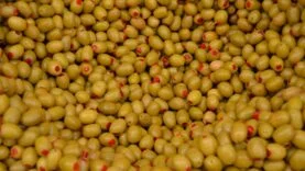 zeytin ihracat