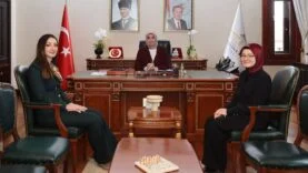 ziyaret