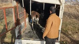 ATSO ve Yusufoğlu Organizasyon’dan Uluslararası Fuar İş Birliği (36)