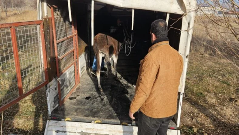 ATSO ve Yusufoğlu Organizasyon’dan Uluslararası Fuar İş Birliği (36)