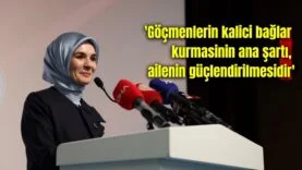 Bir başlık ekleyin (30)