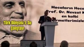 Bir başlık ekleyin (5)