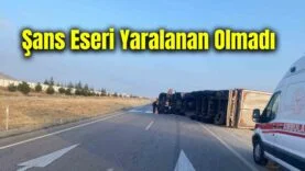 Bir başlık ekleyin (51)