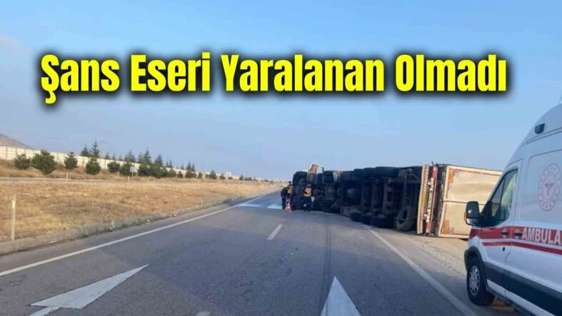 Bir başlık ekleyin (51)