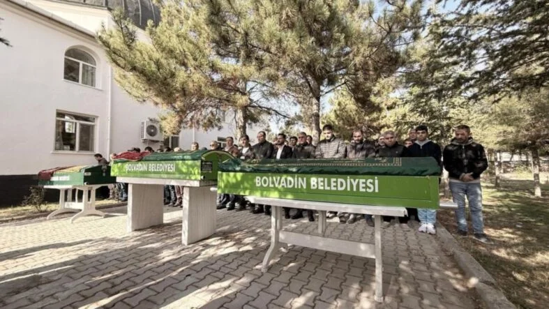 Böcek ailesi