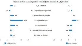 Hizmet üretim endeksi