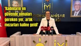 MANSETT-40-3