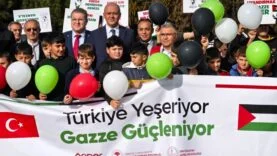 Türkiye yeşeriyor