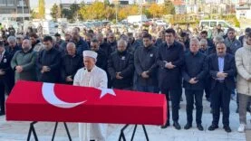 Vali Yardımcısı