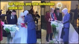 Vali Yiğitbaşı