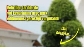 ağaç budama