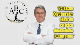 hakan dilek