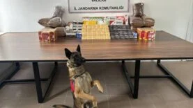 kaçakçılık operasyonu