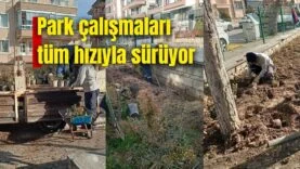 park çalışmaları