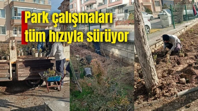 park çalışmaları