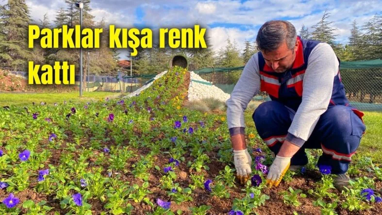 Afyon belediyesi park