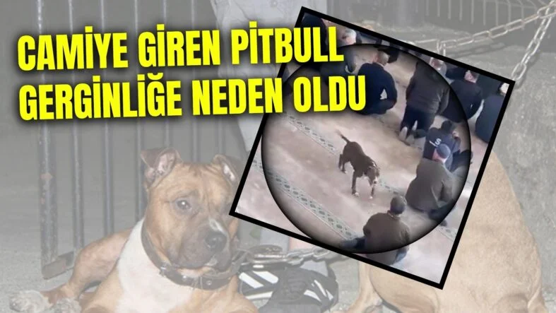 Bir başlık ekleyin - 2025-12-20T124829.070