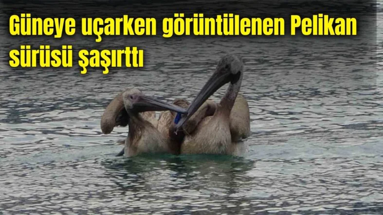 Bir başlık ekleyin - 2025-12-22T145724.588