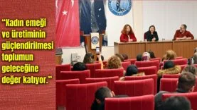 Bir başlık ekleyin (29)