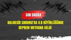 Bir başlık ekleyin (30)