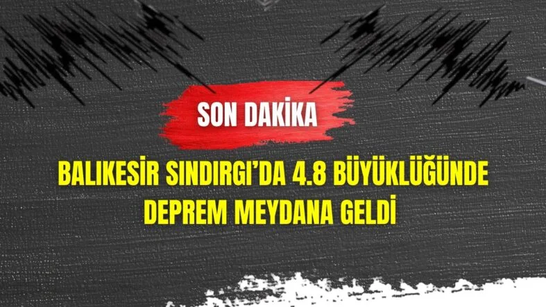 Bir başlık ekleyin (30)