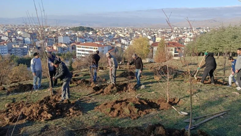 Bir başlık ekleyin (71)