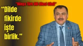 Bir başlık ekleyin (79)