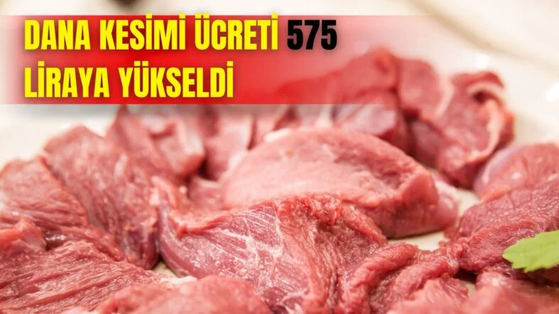 Bir başlık ekleyin (88)