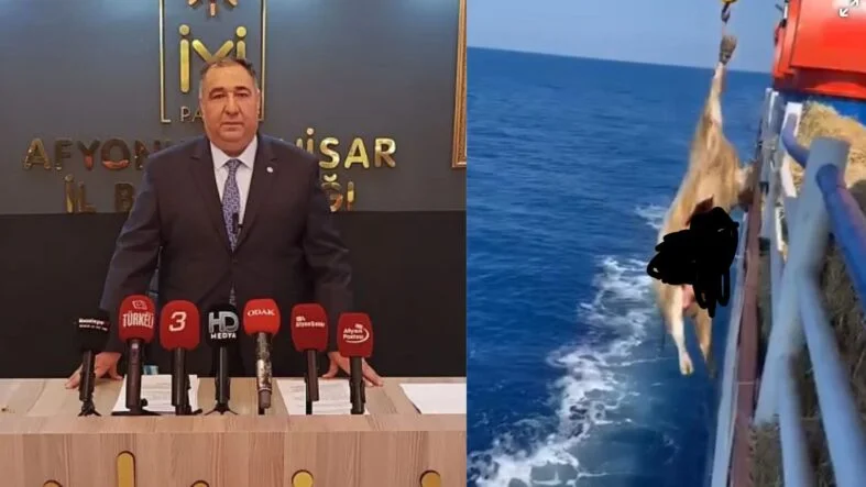 Mısırlıoğlu
