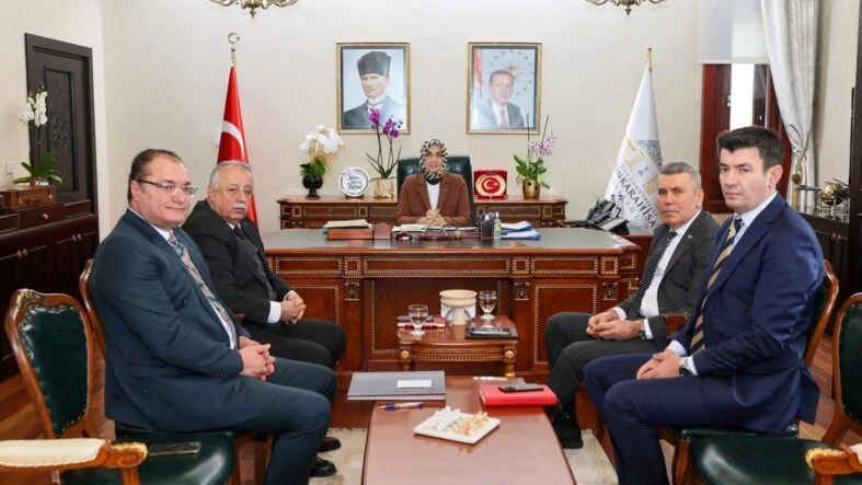Afyonkarahisar valiliği