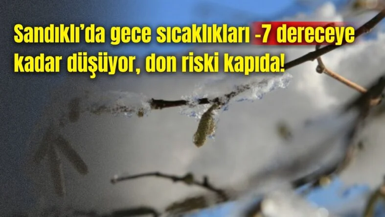 Bir başlık ekleyin - 2026-01-19T132749.861