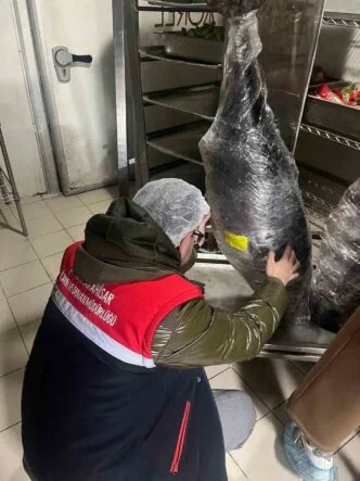 GIDA ÜRETİM VE SATIŞI YAPAN İŞLETMELERİNE YÖNELİK DENETİM