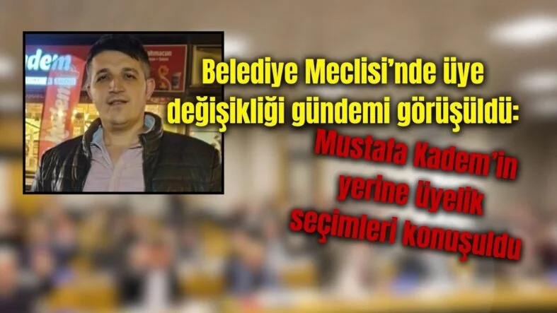 meclis üyesi