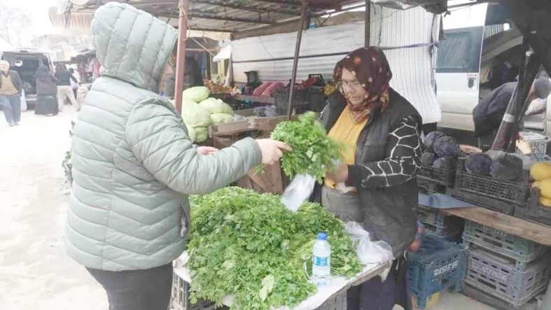 pazar harcı desteği